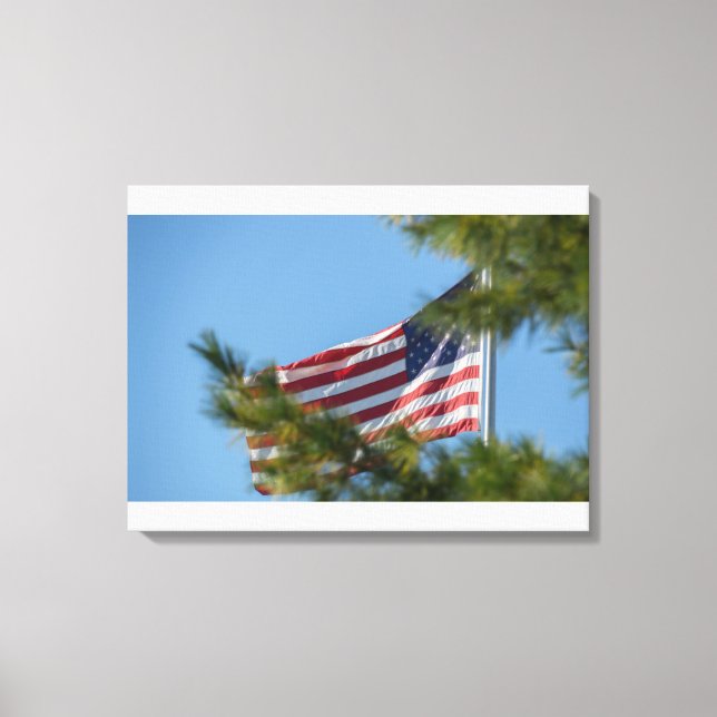 Three USA mini flags Canvas Print (Front)
