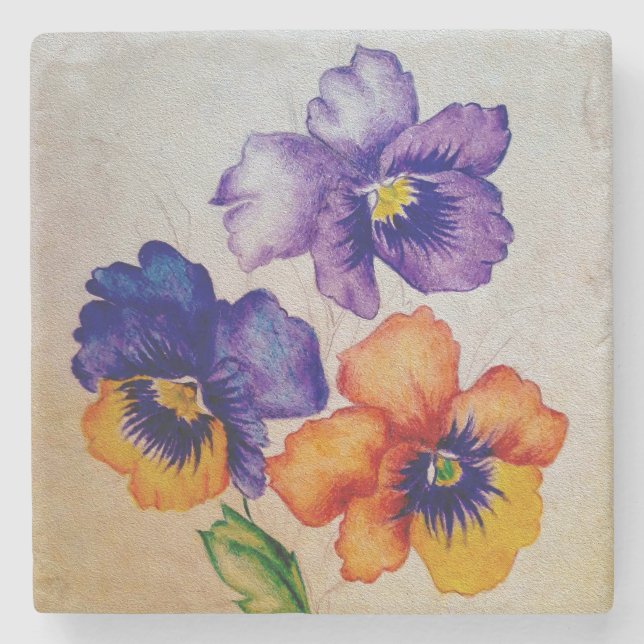 Three vintage Pansy flowers coloured pencils  Stone Coaster (Front)