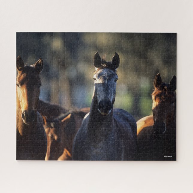 Three Warmbloods Standing together backlit Jigsaw Puzzle (Horizontal)