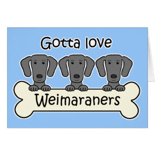 Three Weimaraners