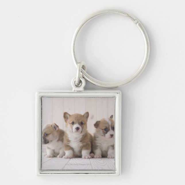 Three Welsh Corgi Key Ring (Front)