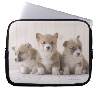 Three Welsh Corgi Laptop Sleeve