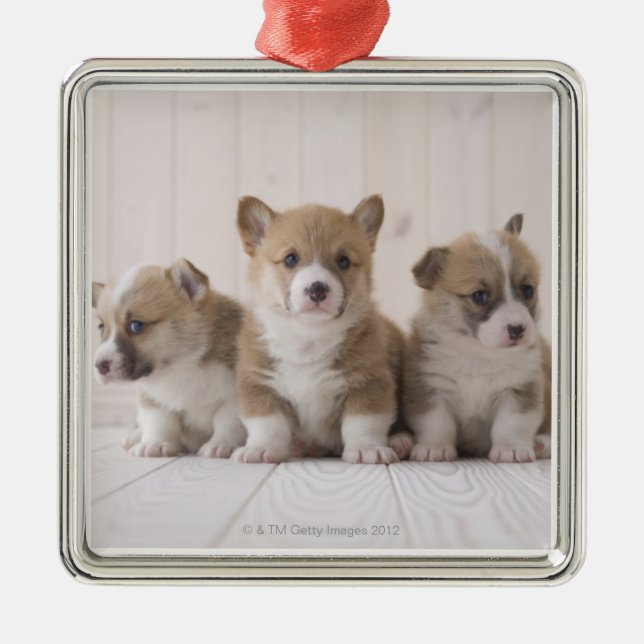 Three Welsh Corgi Metal Tree Decoration (Front)