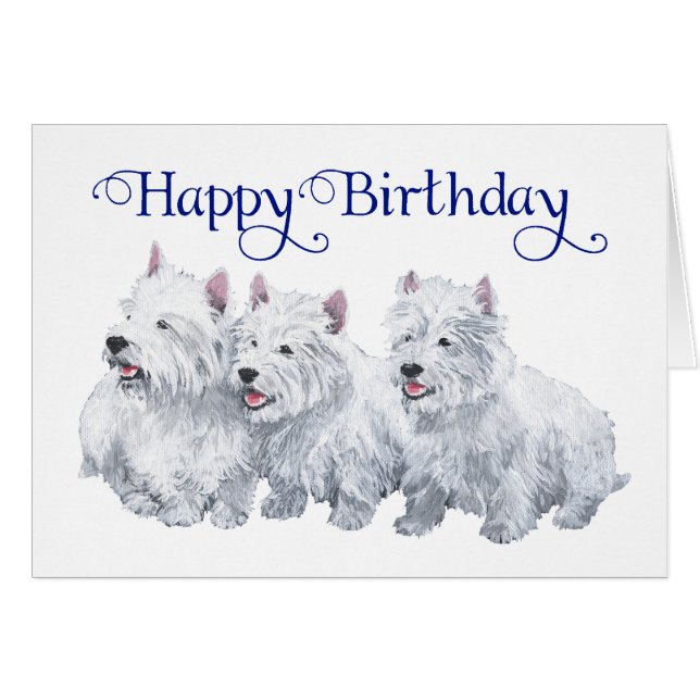 Three West Highland White Terriers (Front Horizontal)