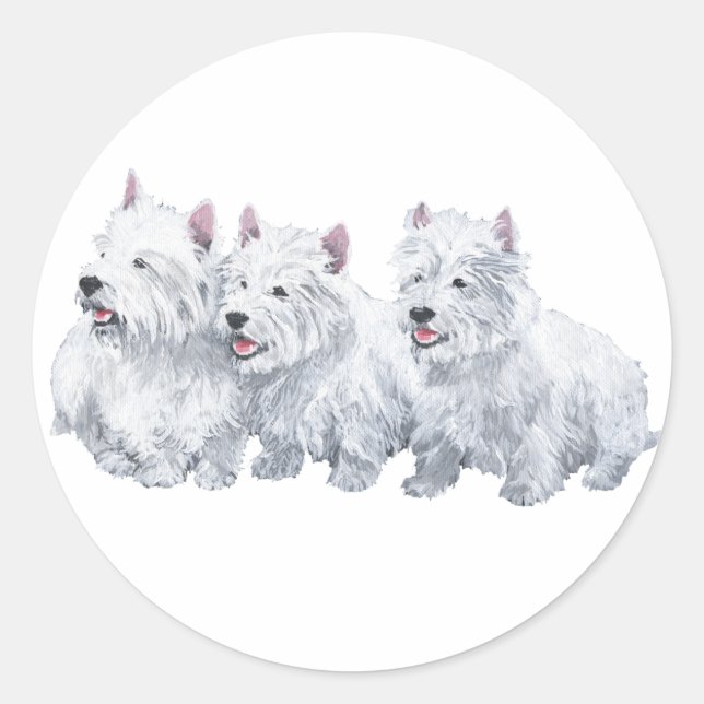 Three West Highland White Terriers Classic Round Sticker (Front)