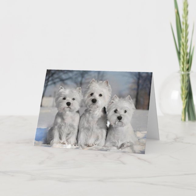 Three Westies in the Snow Card (Front)