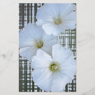 three white flowers