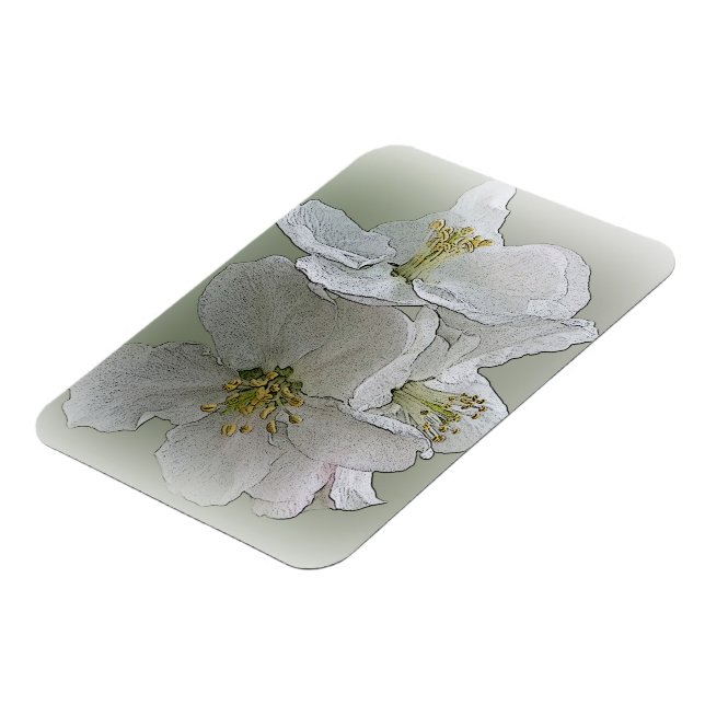 three white flowers magnet (Left Side)