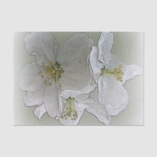 three white flowers tissue paper
