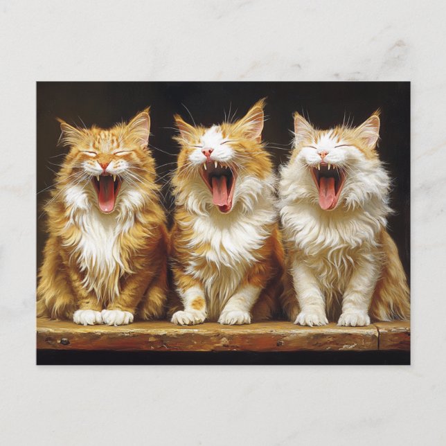Three White Orange Funny Cats Singing Postcard (Front)
