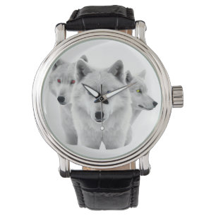 Three White Wolves Watch