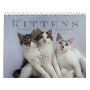 Three Wild Kittens Calendar