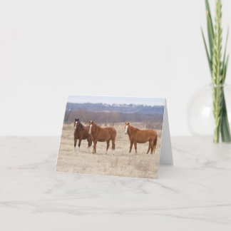 Three Wild Mustangs Thank You Card