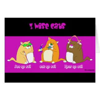 three wise cats