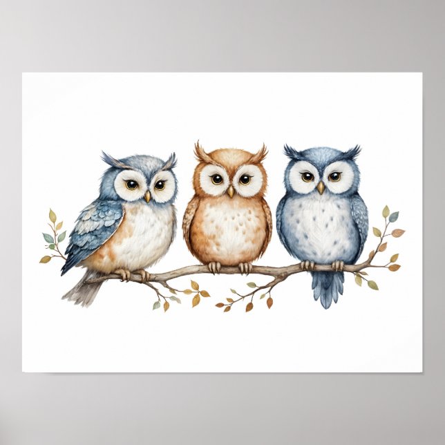Three Wise Owls Poster (Front)
