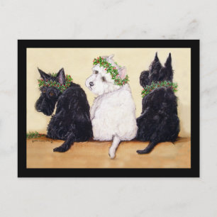 Three Wise Terriers Postcard
