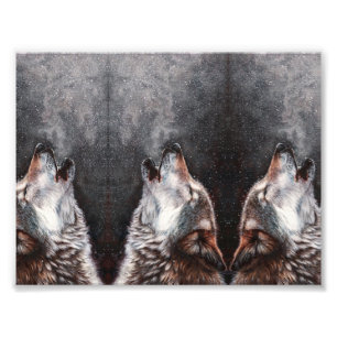 Three Wolves Howling Photo Print