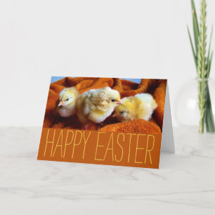 Three Yellow Chicks, Yellow & Orange Easter Card