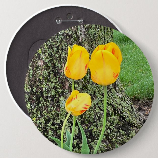 Three Yellow Tulips / 6 Cm Round Badge (Front & Back)