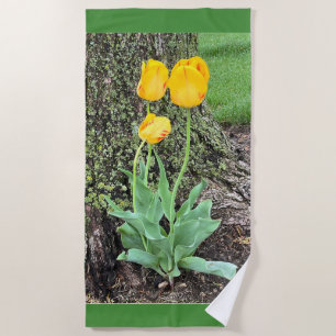 Three Yellow Tulips / Beach Towel