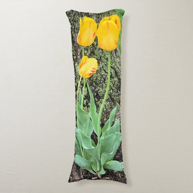 Three Yellow Tulips / Body Cushion (Front Vertical)
