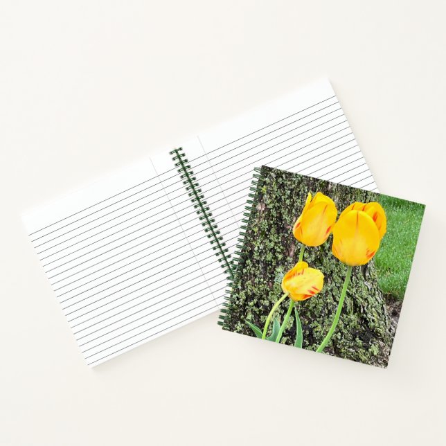 Three Yellow Tulips / Journal (Inside)