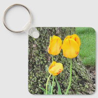 Three Yellow Tulips /
