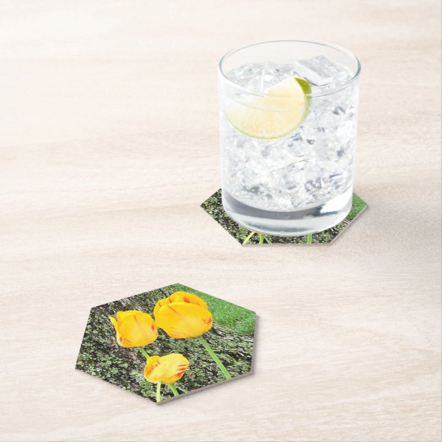 Three Yellow Tulips / Paper Coaster (Insitu)