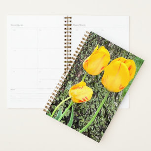 Three Yellow Tulips / Planner