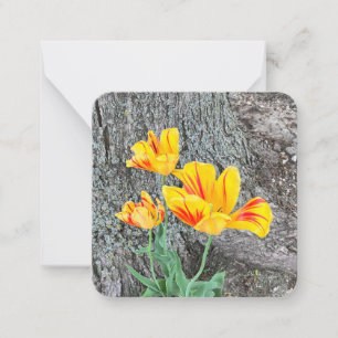 Three Yellow Tulips Sequel / Flat Card