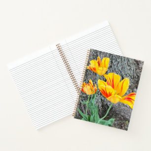Three Yellow Tulips Sequel / Journal