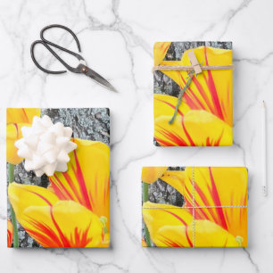 Three Yellow Tulips Sequel /  Wrapping Paper Sheet