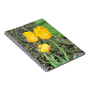 Three Yellow Tulips / Spiral Notebook