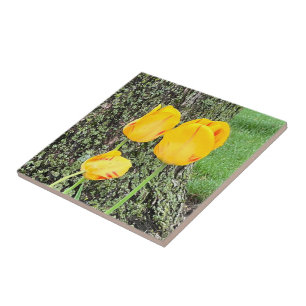Three Yellow Tulips / Tile