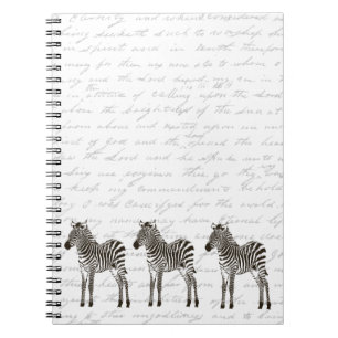 Three Zebras Notebook