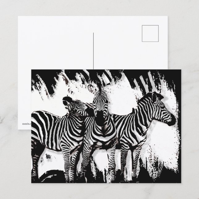 Three Zebras Painting Postcard (Front/Back)