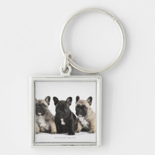 Threee Pedigree Puppies Key Ring