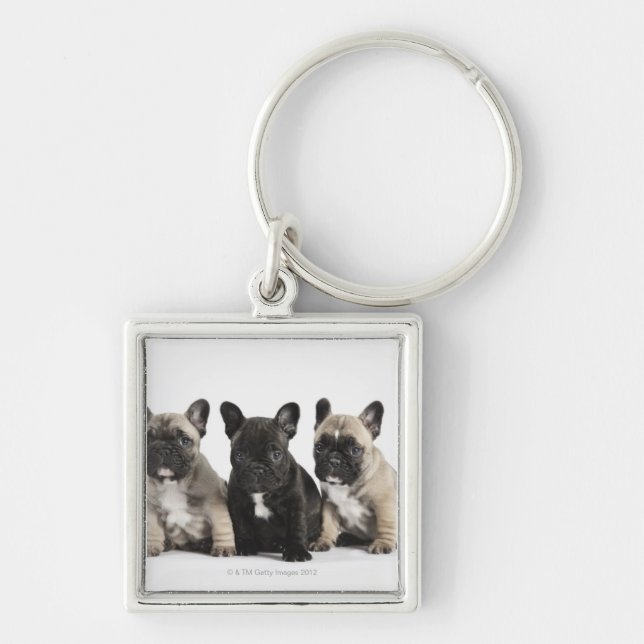 Threee Pedigree Puppies Key Ring (Front)