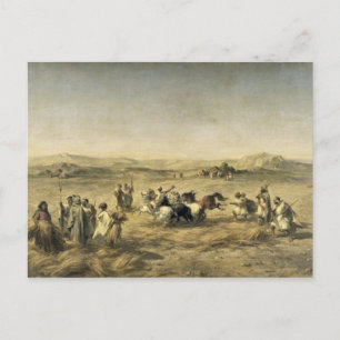 Threshing Wheat in Algeria, 1853 Postcard