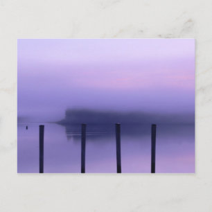 "Through a glass, darkly" Postcard
