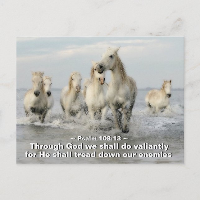 Through God we shall do Valiantly Psalm 108:13 Postcard (Front)