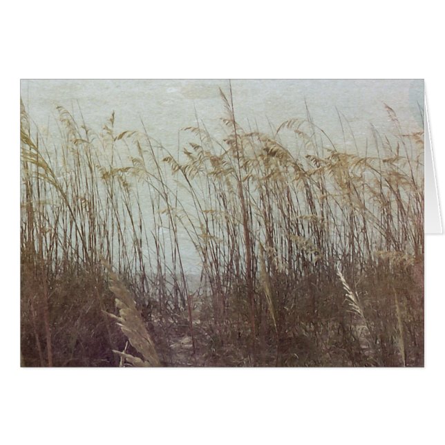 Through the Dunes II (Front Horizontal)