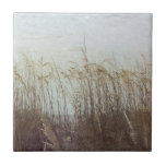 Through the Dunes II Tile<br><div class="desc">Home Décor</div>