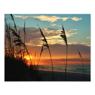 Through the Dunes Photo Print