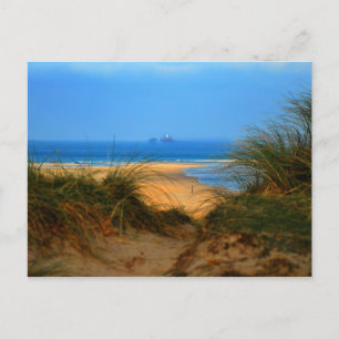 Through the Dunes Postcard