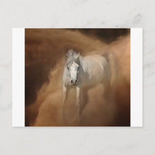 Through the dust storm postcard