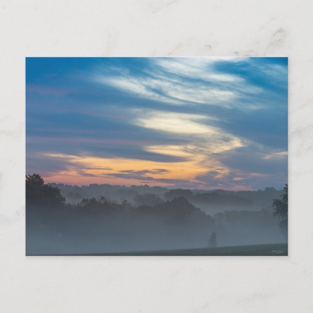 Through The Fog Postcard (Front)