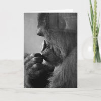 Through The Glass Deep In Thought | Photo Blank