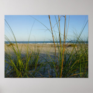 Through The Sea Oats Poster