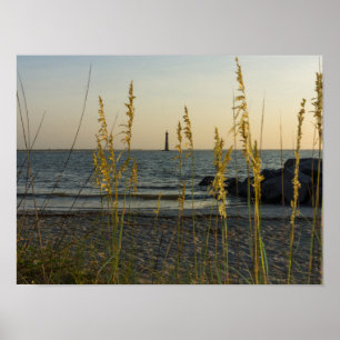 Through The Sea Oats Poster